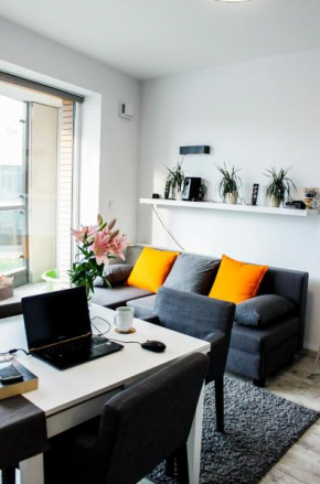 Modern Business Apartment close to City Center check in 24h
